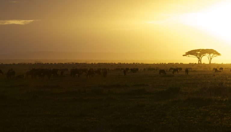 Serengeti National Park