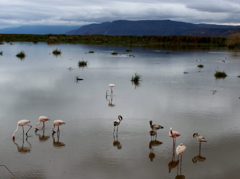 Lake Manyara National Park