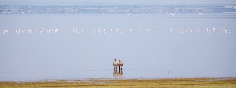 SIX DAYS : ARUSHA-LAKE MANYARA- NGORONGORO-SERENGETI  (CLASSIC)