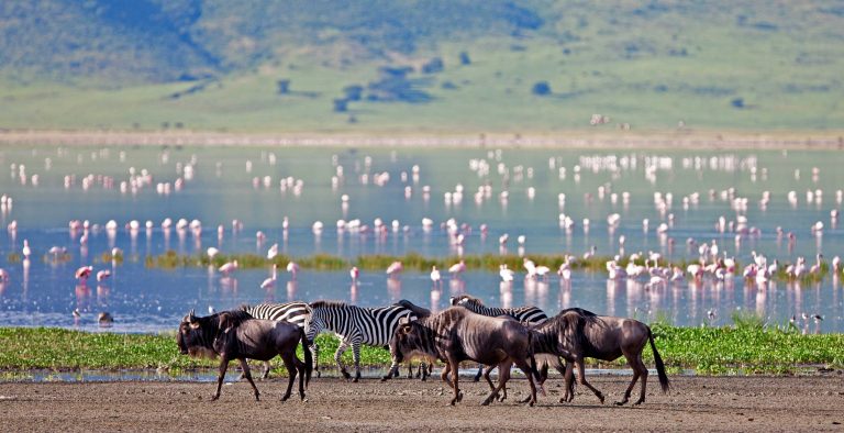 Ngorongoro Conservation Area